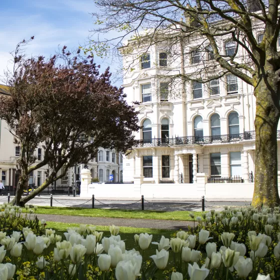 This is a nicely framed image of the front facade of the striking Victorian building which is home to ELC Brighton, one of Brighton's oldest English language schools. In the foreground are white tulips and mature tree and a smaller shrub with red foliage. The school is painted a cream-white colour and the sky is blue with very light white clouds.