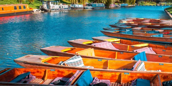 A colourful photo of punts, traditional wooden boats, on the River Cam in Cambridge. The water looks particularly blue, as does the sky, and whilst a number of boats are tied up on one side of the river, you can see a beautiful red brick building and several willow trees in the distance on the opposite bank.
