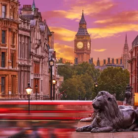 This is a professionally taken photo which has captured the iconic Elizabeth Tower of the Houses of Parliament in London at sunset. There is a pinky yellow light in the sky and being cast over the surrounding buildings. The photo is taken from Trafalgar Square looking down Whitehall towards Parliament. You can see one of the bronze lions at the foot of Nelson's column in some detail, and a red double-decker London bus streaks past, out of focus being the lion.